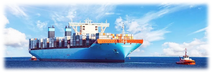 MK7 Carbon Fibre Vented Hood + Vented Fenders